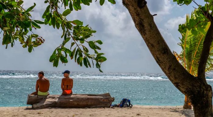 The Maldives plans to offer vaccinations to tourists as part of an effort to rejuvenate its tourism industry.