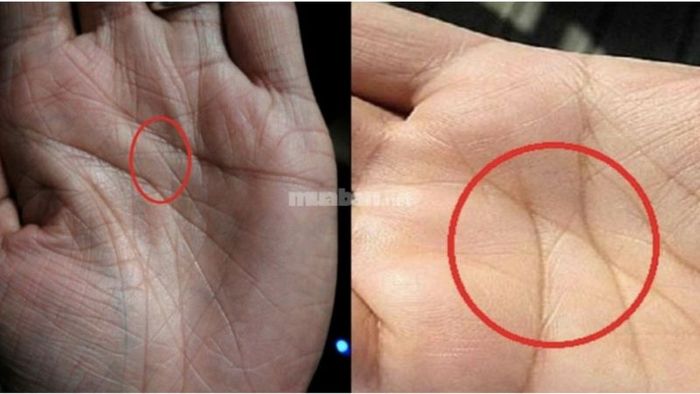 6 đường chỉ tay may mắn đến tài lộc, phú quý