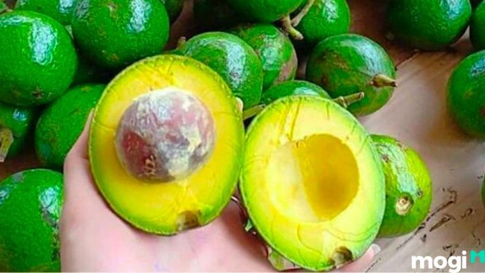 Cách bảo quản bơ hiệu quả