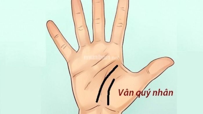 6 đường chỉ tay may mắn mang đến tài lộc và phú quý