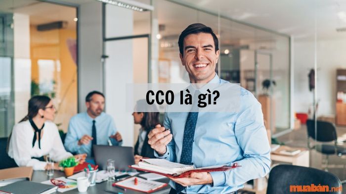 CCO là gì? Một vị trí có quyền lực, nhưng cũng đi kèm với nhiều khó khăn thử thách.