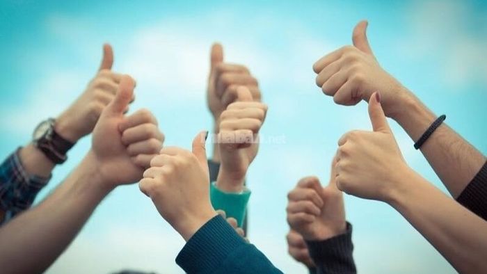 Ảnh hưởng của năm cá nhân số 1 đối với các số chủ đạo