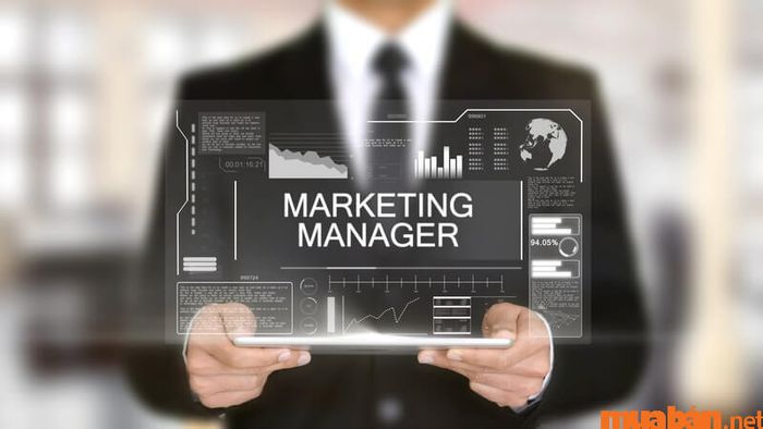 Trưởng phòng Marketing là ai?