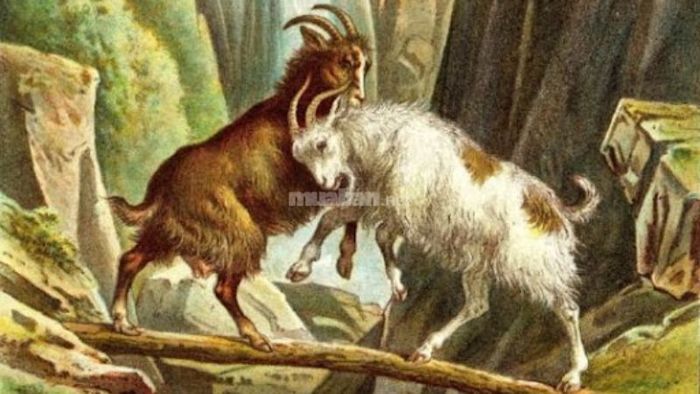 Người tuổi Đinh Mùi 1967 cần tiết chế chi tiêu trong năm 2025 - Nguồn ảnh: Sưu tầm