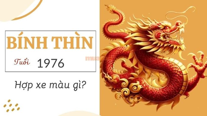 Màu xe hợp với tuổi Bính Thìn 1976 là gì?