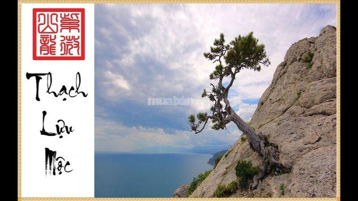Người sinh năm Canh Thân 1980 mang mệnh Mộc, gọi là Thạch Lựu Mộc.