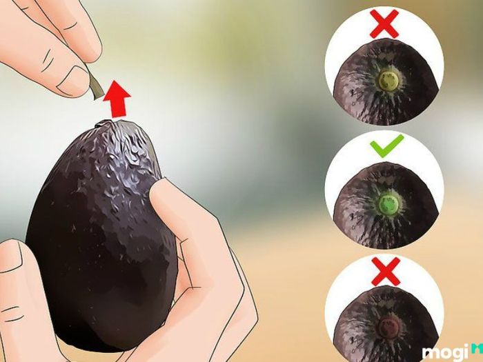 bí quyết chọn bơ ngon