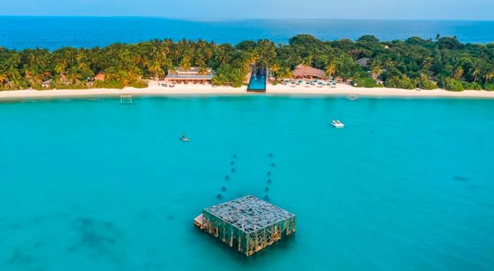 The Coralarium is positioned just opposite the Maldives' longest pool, which spans 200 meters across the island's heart.