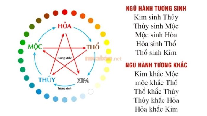 Ngũ hành tác động như thế nào trong việc chọn màu xe?