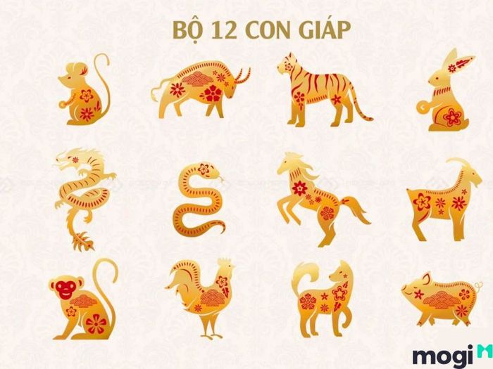 Tử vi giúp dự đoán số mệnh của mỗi người, mang đến những thông tin hữu ích về cuộc đời.