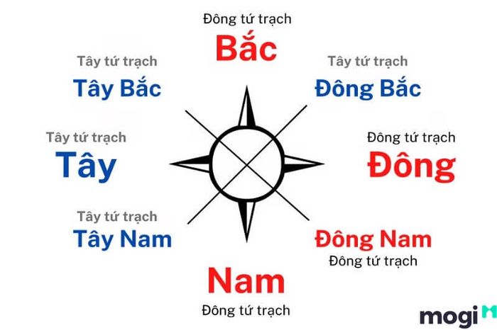 Tân Sửu 1961 nữ mạng hợp với các hướng như Bắc, Nam, Đông và Đông Nam khi xây nhà.