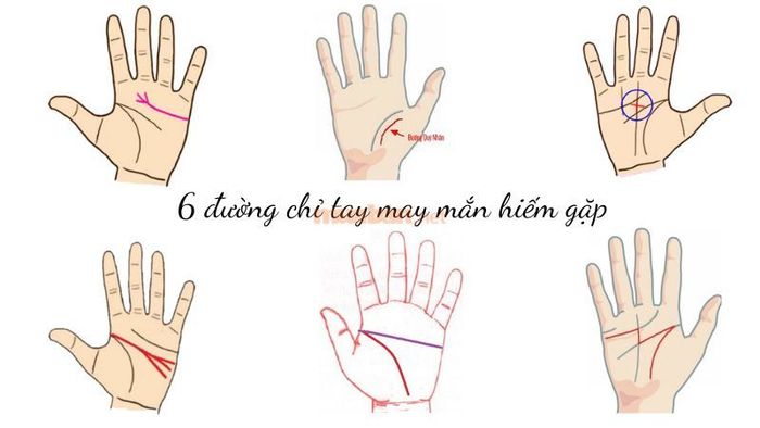 6 đường chỉ tay mang lại may mắn