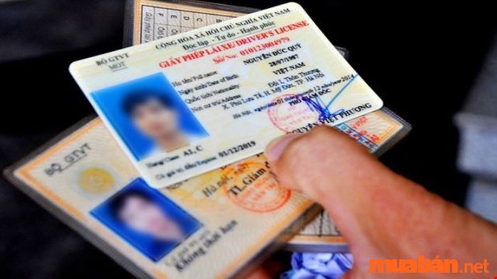 Bằng lái xe (giấy phép lái xe) là vật dụng không thể thiếu khi tham gia giao thông bằng xe máy.