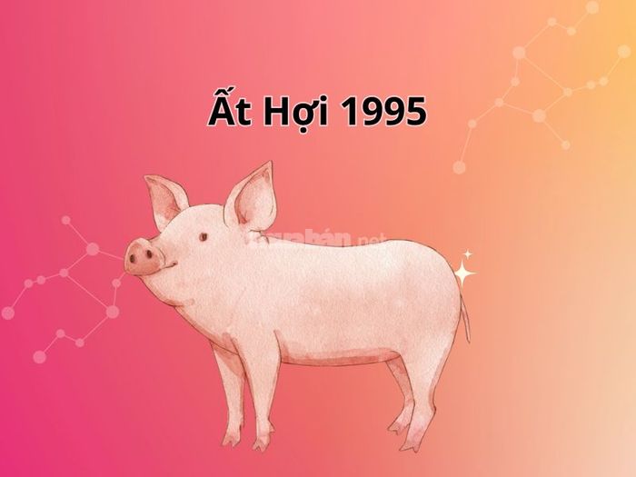 Khái quát về tuổi Ất Hợi 1995
