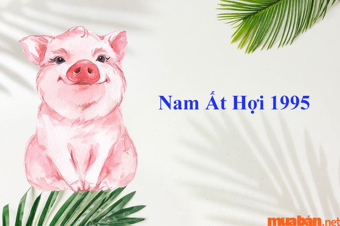 Với tính cách ấm áp, nam 1995 nên kết hôn với vợ tuổi nào để hợp tuổi và hạnh phúc viên mãn?