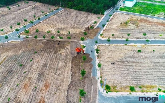 Các điều kiện cần thiết để xác định hướng đất trên giấy chứng nhận quyền sử dụng đất