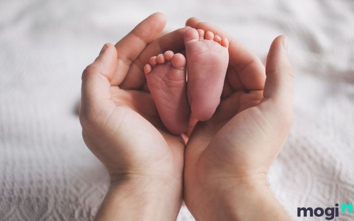 Liệu người tuổi Thìn có nên sinh con trong năm tuổi của mình không?