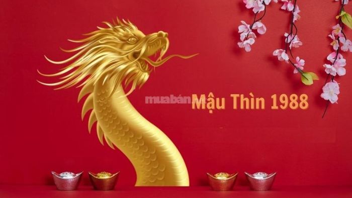 Tuổi Mậu Thìn 1988 phù hợp với màu xe nào?