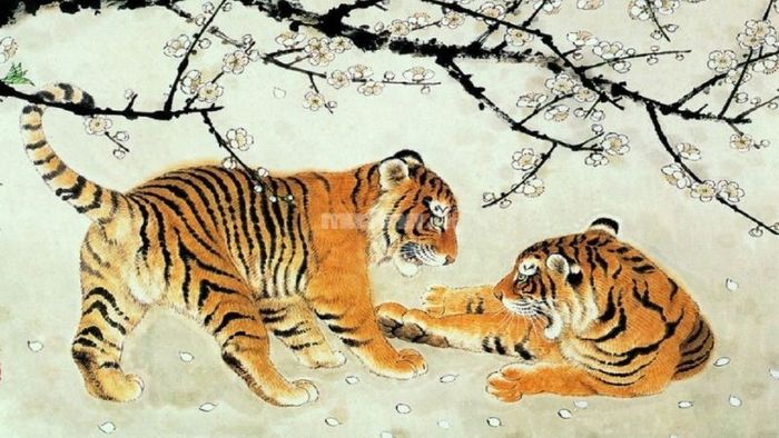 Tổng quan tử vi của người tuổi Dần trong 6 tháng đầu năm 2025 – Nguồn: Internet