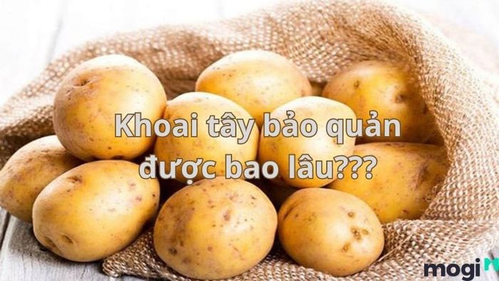 Cách bảo quản khoai tây hiệu quả