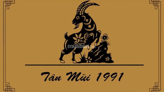 Tổng quan về người tuổi Tân Mùi 1991 – Màu xe nào hợp phong thủy để mang lại may mắn và tài lộc cho gia chủ?