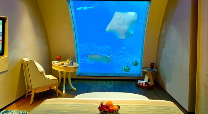 Beach Villas Ocean Suites: The ultimate experience for bonding with a ray.