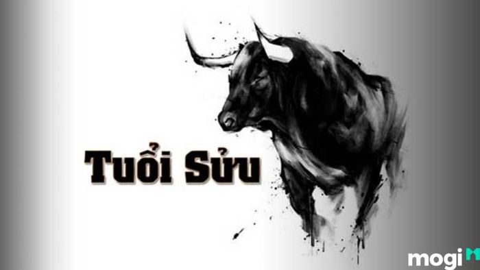 Dự báo tử vi 12 con giáp ngày 03/01/2024 cho tuổi Sửu