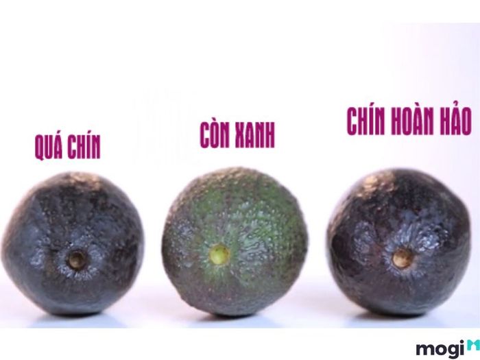 bí quyết chọn bơ ngon
