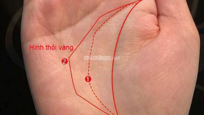 6 đường chỉ tay may mắn mang lại tài lộc và phú quý