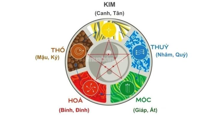 Ý nghĩa Ngũ hành Âm dương trong Thiên can Địa chi