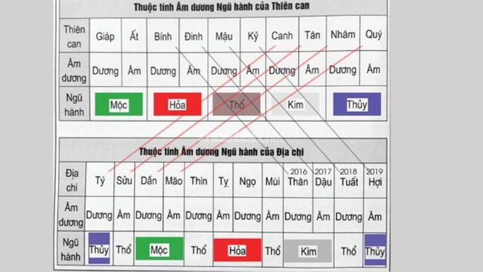 Thiên can và Địa chi trong mối quan hệ với Ngũ hành âm dương