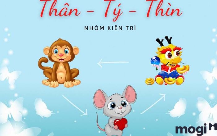 Tam hợp Thủy cục: Thân - Tý - Thìn