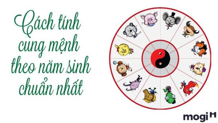 Xác định qua tuổi của bạn