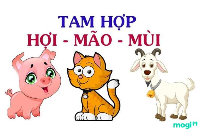 Tam hợp và tứ hành xung