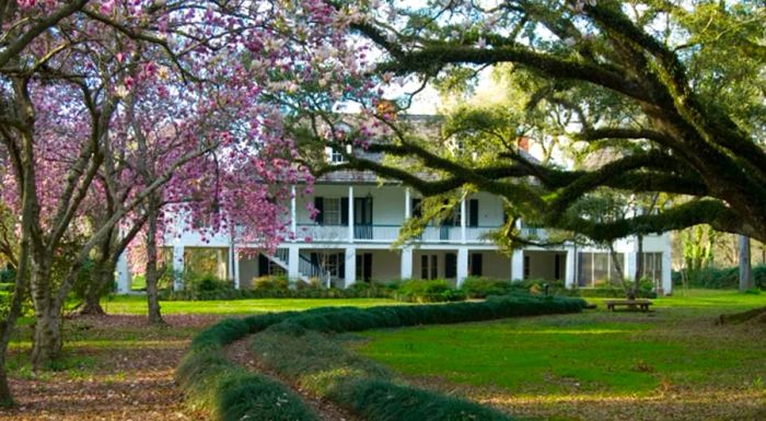 Melrose Plantation was established by free African Americans, a testament to their resilience and entrepreneurial spirit.