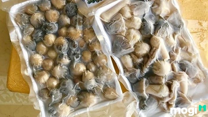 Nếu bạn muốn bảo quản nấm rơm lâu dài, có thể sử dụng ngăn đá tủ lạnh. Với túi hút chân không, nấm rơm có thể giữ được chất lượng trong vài tháng.