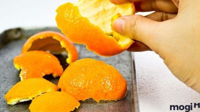 Diệt Ốc Sên Bằng Vỏ Cam Và Dưa Hấu