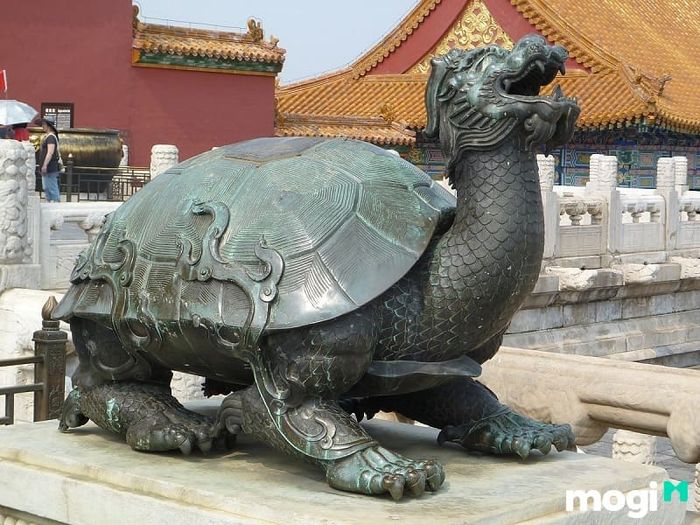 Long Quy còn được gọi là Rùa Đầu Rồng