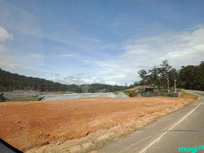 Đất đấu giá là gì?