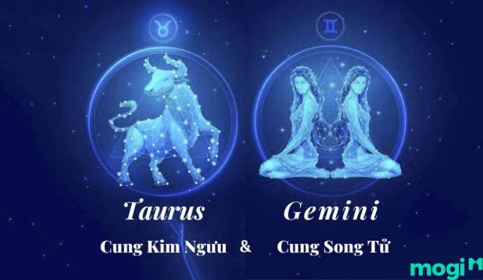 Tháng 5 sẽ có hai cung hoàng đạo, đó là Kim Ngưu và Song Tử.
