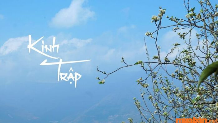Tiết Kinh Trập là gì? Tiết Kinh Trập 2024 sẽ rơi vào ngày nào trong năm?