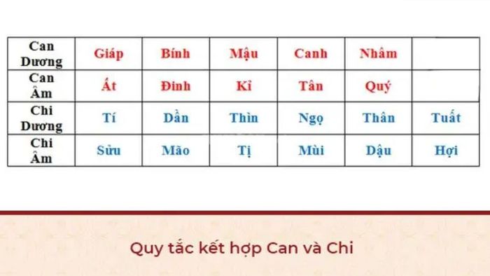 Ý nghĩa và đặc điểm của Thiên can Địa chi