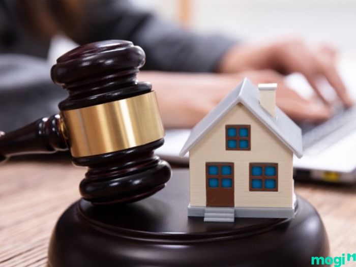 Đất đấu giá là gì?