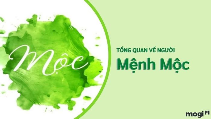 Khám phá những đặc điểm tổng quan của người mệnh Mộc