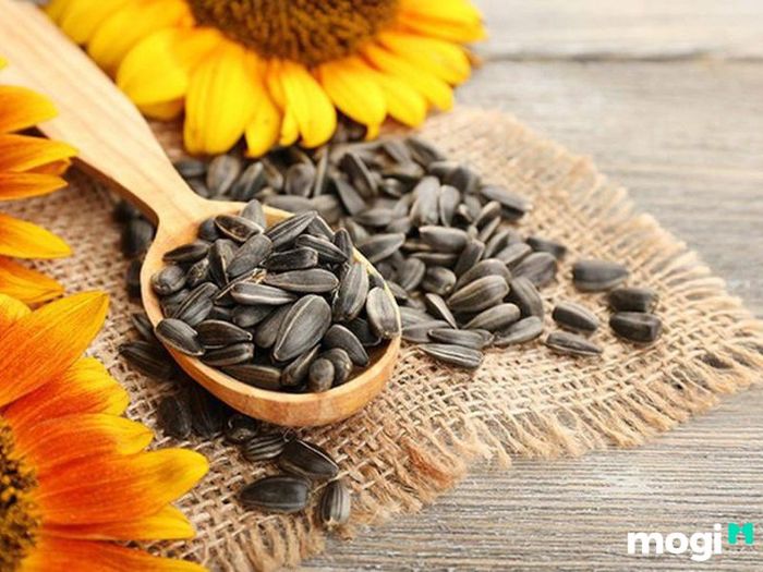 Công dụng và ý nghĩa của hoa Hướng Dương