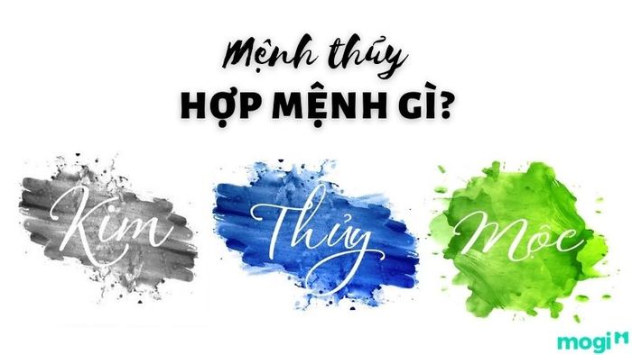 Mệnh Thủy hợp với mệnh nào?