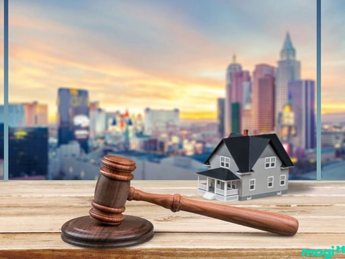 Đất đấu giá là gì?