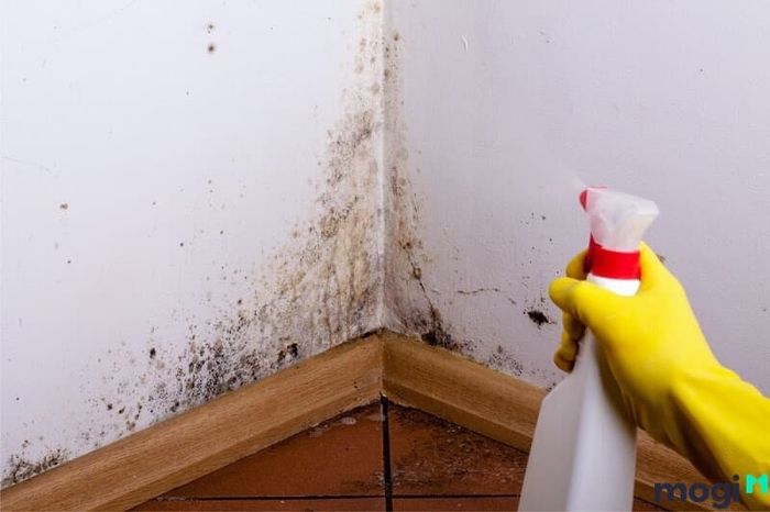 Để làm sạch bề mặt gạch, bạn có thể áp dụng các chất tẩy rửa chuyên dụng dành riêng cho gạch ốp tường.