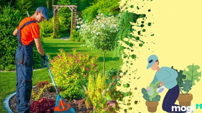 Cách Diệt Ốc Sên