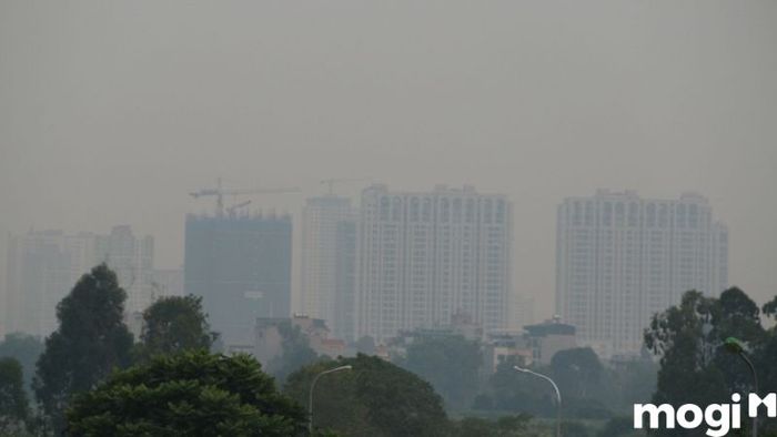 Khi bị ngứa tai trái, bạn nên tránh xa những nơi có không khí ô nhiễm và nhiều bụi bẩn